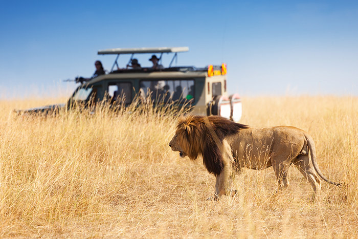 Exploring the Northern Circuit: The Ultimate Safari Experience in Tanzania