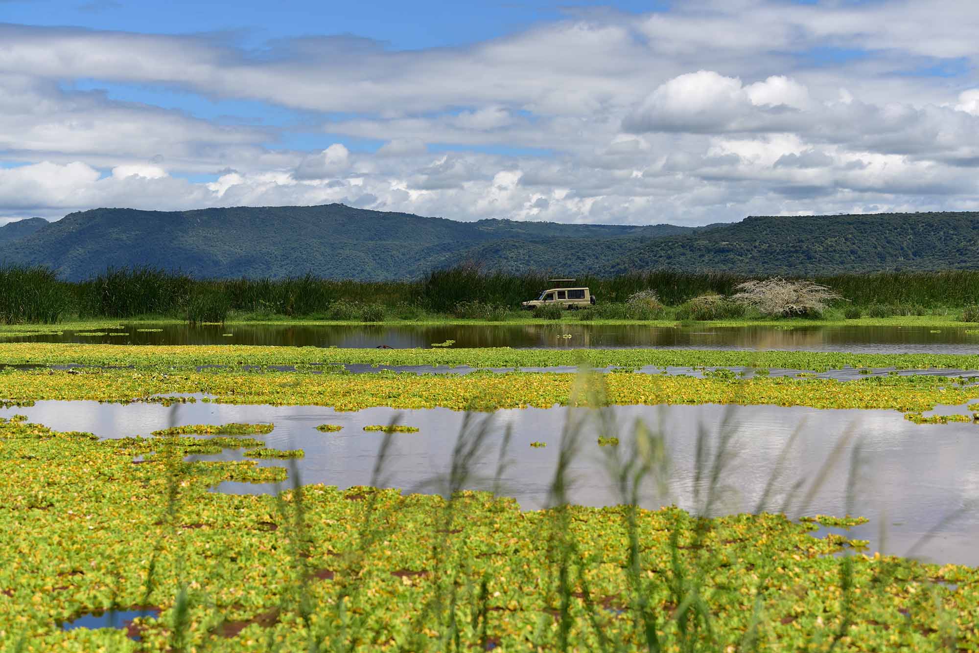 3 Days Safari to Tarangire, Lake Manyara & Ngorongoro