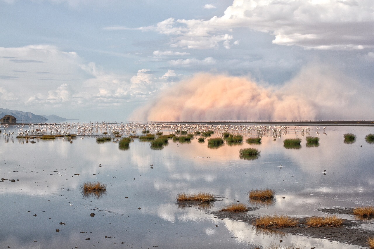 10 Days Safari Tarangire, Lake Naton, Lake Eyasi, Olduvai Gorge, Serengeti & Ngorongoro