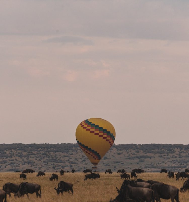 Baloon Safaris