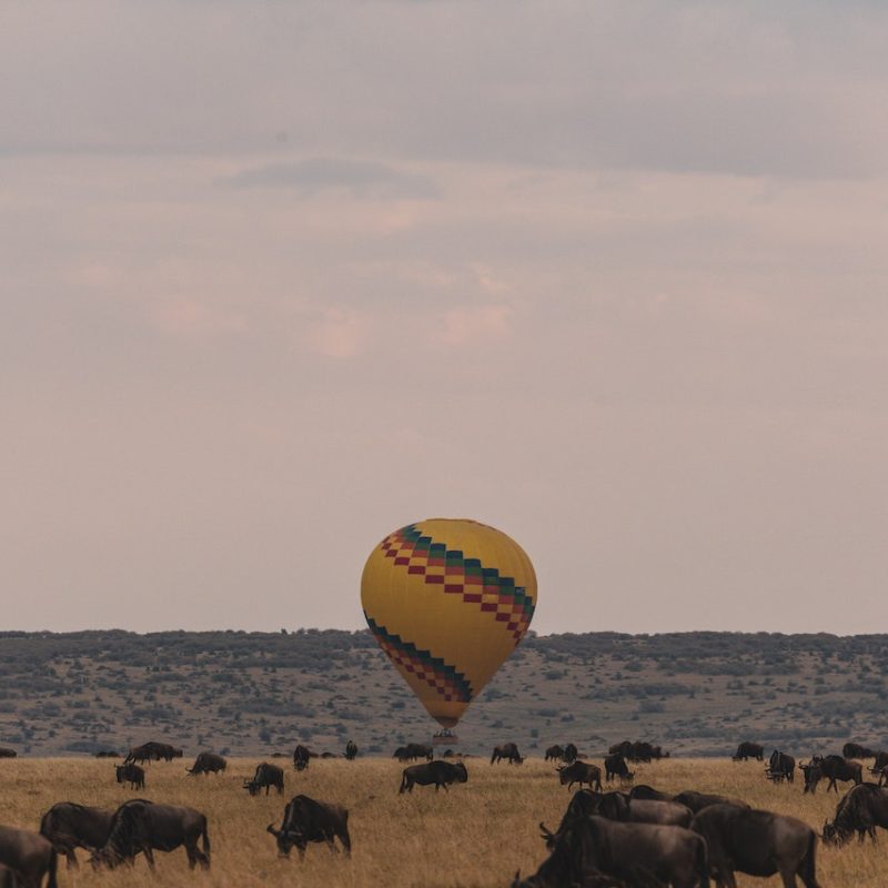 Baloon Safaris