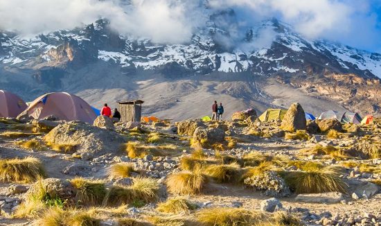 Kilimanjaro trek (3)