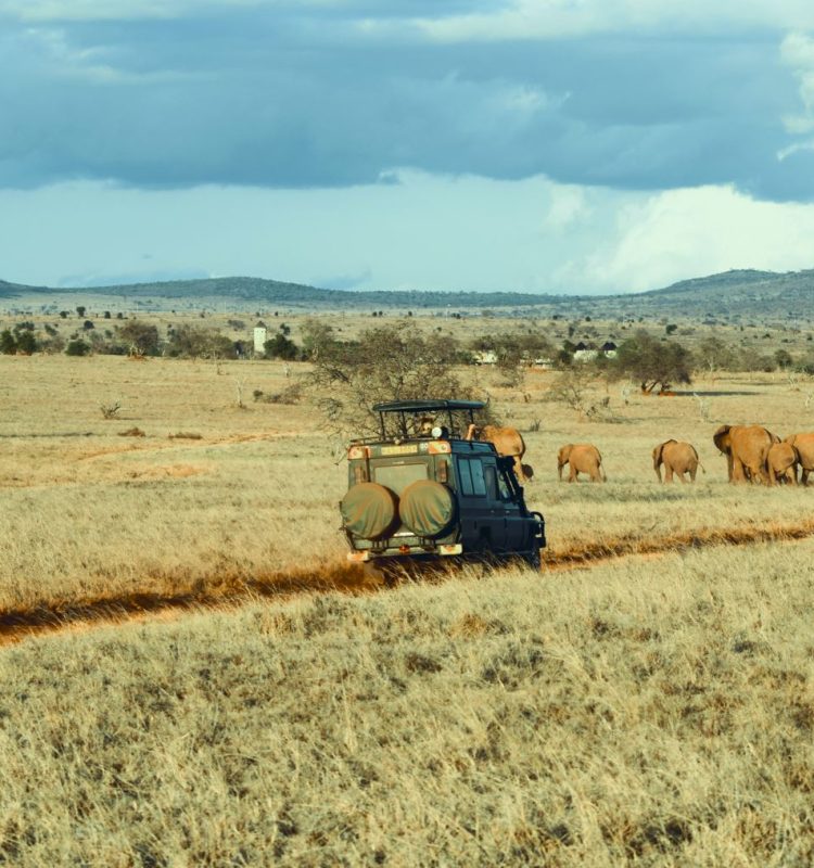 Vehicle With elephants