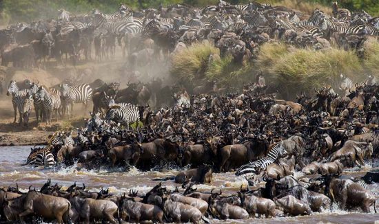 great migration 1