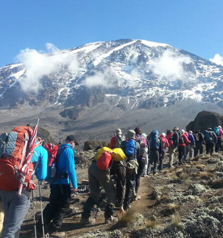 mount-kilimanjaro-climb