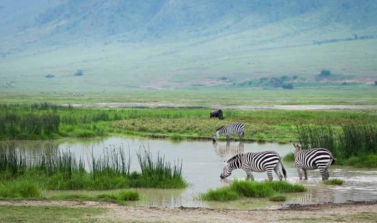 ngorongoro 2 (4)